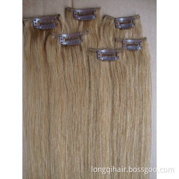 Clip in Human Hair Extension